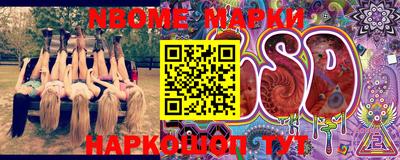 амф Бердск