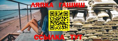 дмт Белореченск