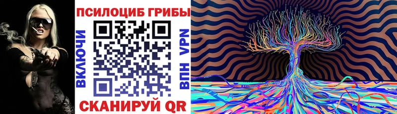 Галлюциногенные грибы Cubensis  Всеволожск 