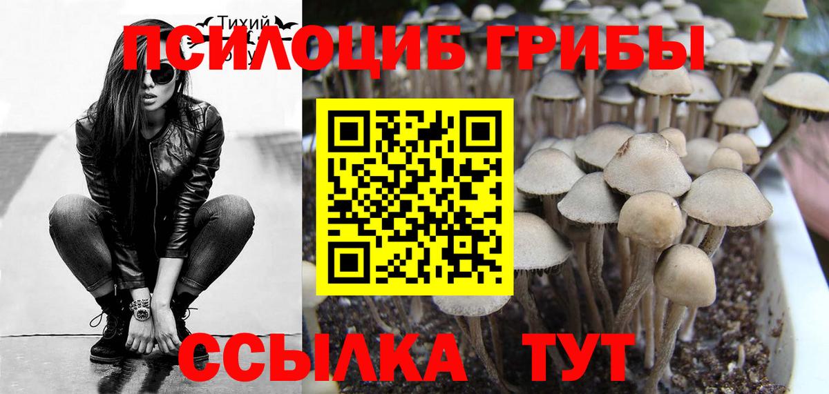 где купить наркоту  Вход с VPN  Всеволожск  Галлюциногенные грибы MAGIC MUSHROOMS 